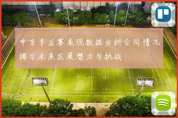 申京季后赛表现数据分析合同情况揭示未来发展潜力与挑战